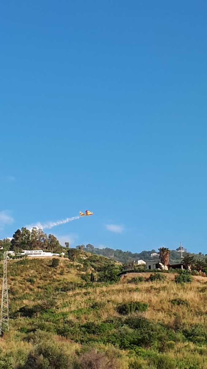 incendio-pisciotto-8