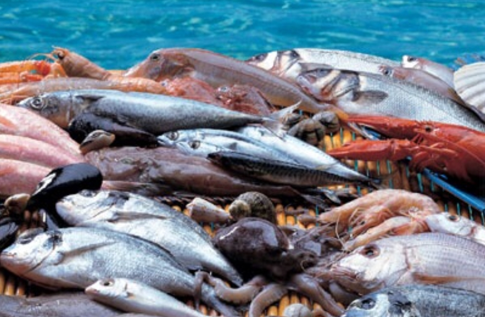 Controlli di Carabinieri e Guardia Costiera: sequestrati 360 chili di prodotto ittico
