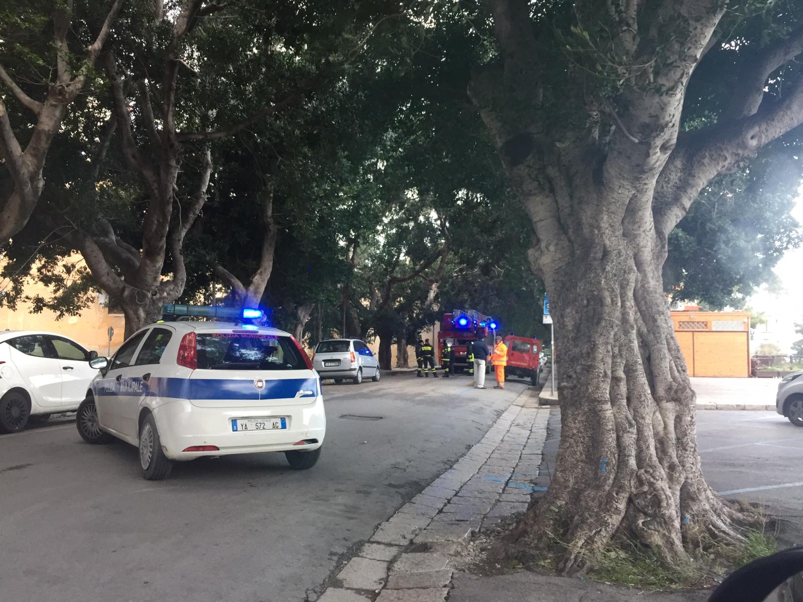 Maltempo: a Termini Imerese albero abbattuto nei pressi della villa Palmeri, danni a Sciara e Caccamo, incidente a Cerda