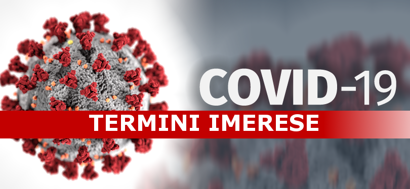 Coronavirus: termitano positivo al tampone, facciamo chiarezza