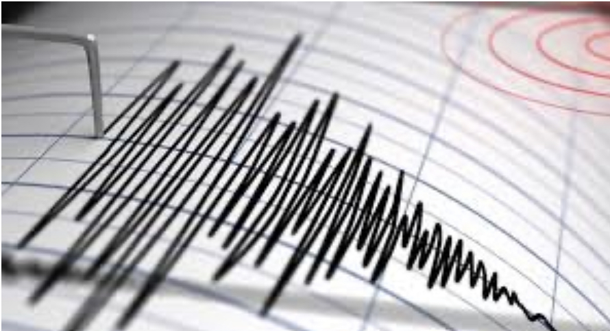 Una scossa di terremoto di magnitudo 3.5 al largo di Palermo