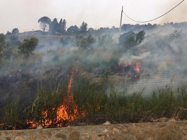 Comune Termini Imerese: nuova ordinanza con le misure di prevenzione contro gli incendi boschivi