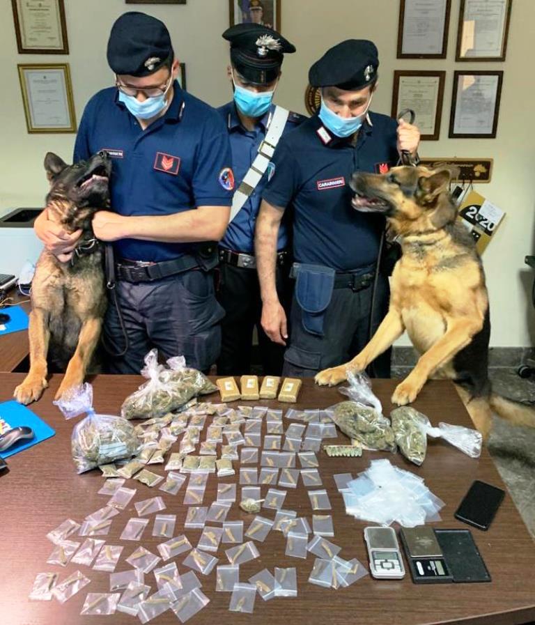 I carabinieri con l’aiuto dei cani Ron e Mike arrestano uomo per detenzione di droga