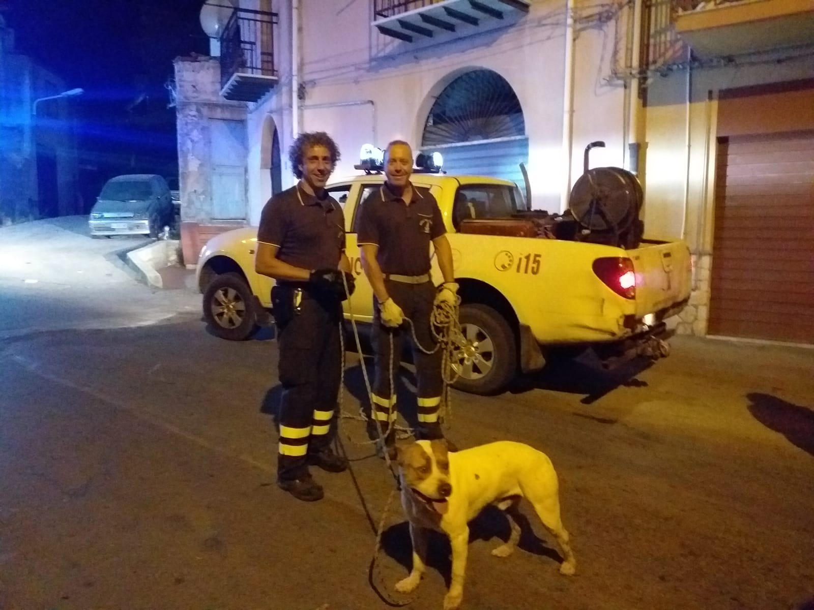 Cane intrappolato nel fiume Barratina: lo salvano i vigili del fuoco