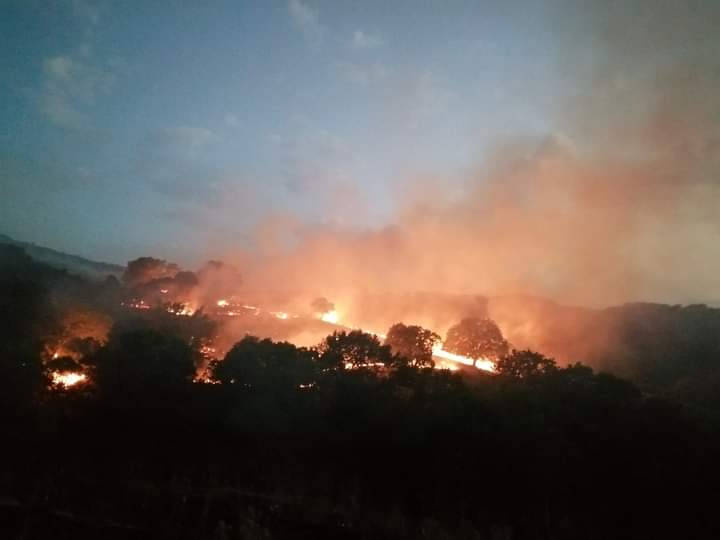 Paura a Montemaggiore Belsito: inarrestabili alte lingue di fuoco distruggono la vegetazione FOTO
