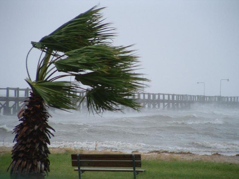 Meteo Termini Imerese: forte vento, chiuse le ville Aguglia e Palmeri