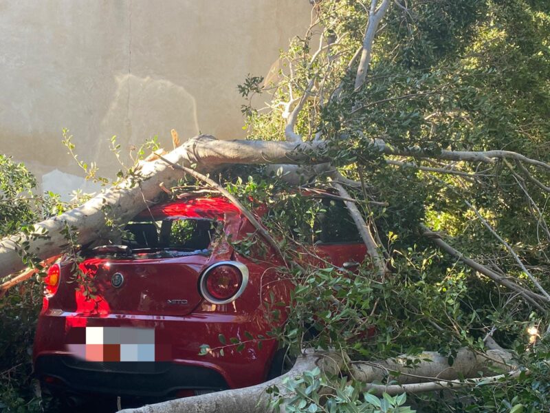 Vento a Termini Imerese: contrade senza luce e alberi caduti sulle auto, la conta dei danni