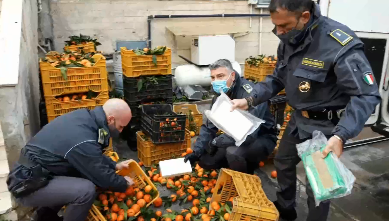 Guardia di Finanza Termini Imerese: nascondevano 10 chili di cocaina tra i mandarini, due arrestati