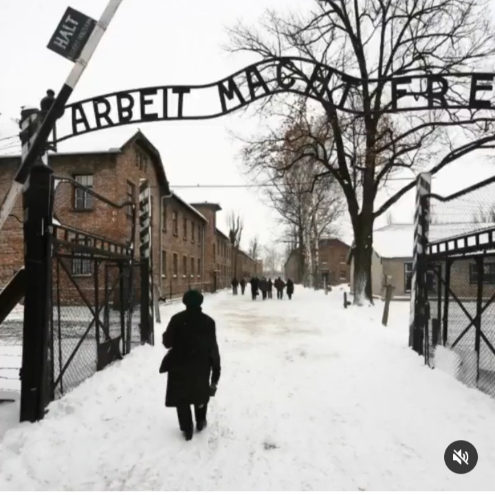 Auschwitz: l'uomo non dimentica, si interroga