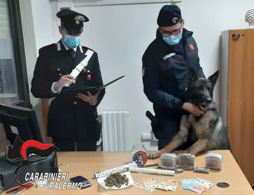 Carabinieri: due arresti per droga in provincia di Palermo