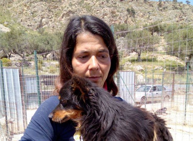 Minacce alla responsabile del canile Laura Muriella: "Io non mi arrendo"