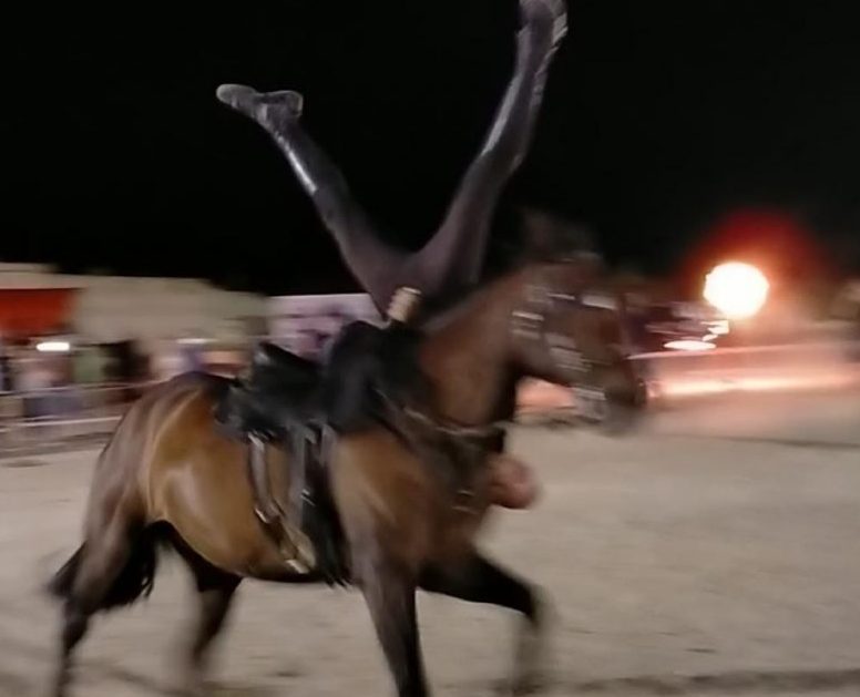 Grandi emozioni al gran galà equestre: cavalieri e amazzoni hanno partecipato da tutta la Sicilia FOTO E VIDEO