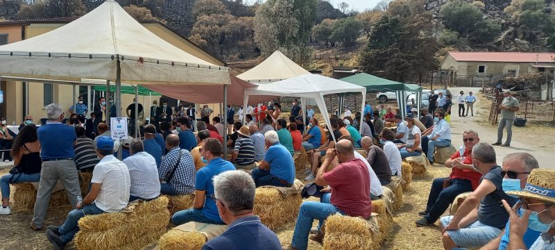 Caccamo: il ministro Patuanelli in contrada Manchi a sostegno di allevatori e allevatori colpiti dagli incendi