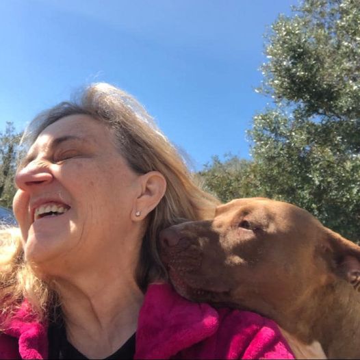 Loredana Russo: "Quindici rifugi per cani randagi in Sicilia, anche a Termini Imerese"