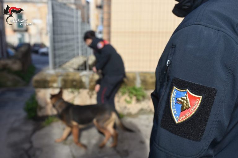 Carabinieri: contrasto mercato stupefacenti a Palermo, sei arresti e sequestri di droga e armi