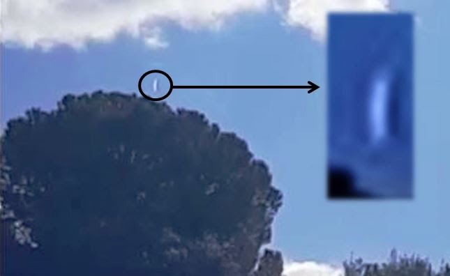 Presunto ufo a Bolognetta, il commento di chi ha ripreso: "Non era un parapendista"