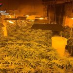 Scoperta piantagione di cannabis a Casteldaccia: due arresti