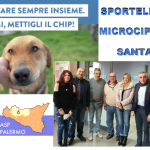 Palermo: il Sinalp firma con l'Asp protocollo microcippatura per cani