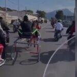 Ancora gare clandestine di Cavalli a Palermo: spunta un nuovo video girato in via Pecoraino IL VIDEO
