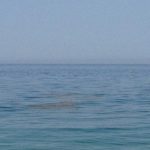 Palermo: mare inquinato vietata balneazione dal primo maggio TUTTI I DIVIETI