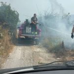 Caldo e afa: divampano gli incendi in provincia di Palermo FOTO