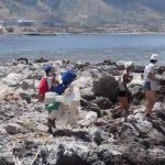 Ambiente e volontariato, Isola delle Femmine 77 giovani da tutta Europa in Sicilia nelle riserve e nei parchi naturali VIDEO