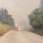 Incendi Montemaggiore Belsito: avviata una raccolta fondi a sostegno degli allevatori e agricoltori montemaggioresi