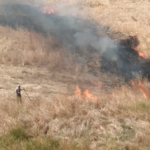 Guardie del WWF sorprendono e filmano un piromane mentre appicca il fuoco nelle campagne VIDEO