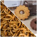 Le nuove abitudini alimentari: biscotti a base di insetti FOTO