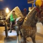 Da Bagheria ad Assisi con il cavallo e il carretto siciliano: il viaggio di Nino Buttitta