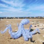 Termini Imerese, pulizia della spiaggia organizzata dalla onlus “Plastic Free” FOTO