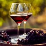 Termini Imerese, corso di analisi sensoriale: quarta lezione dedicata al vino