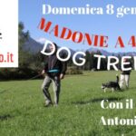 Dog Trekking sulle Madonie: la novità assoluta con cui iniziare il 2023