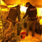 Palermo: la Polizia becca piantagione di marijuana indoor a Brancaccio
