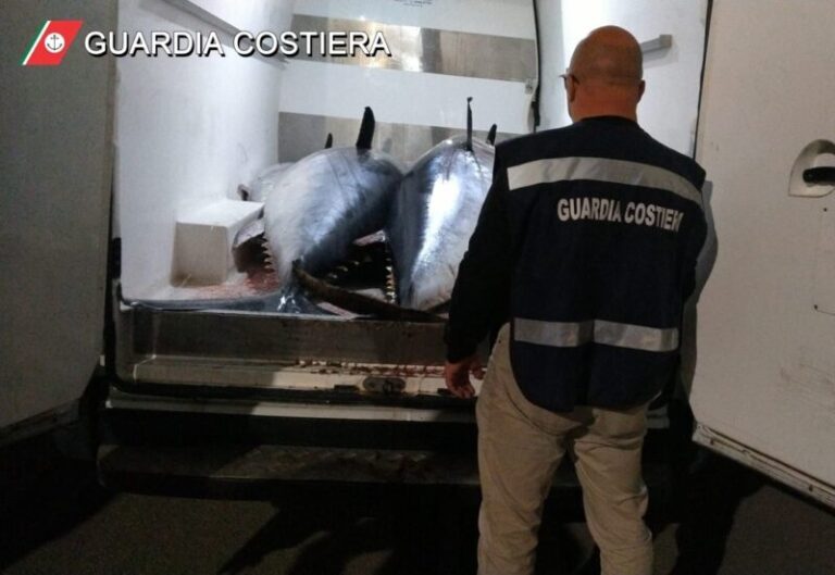 Sequestrati 8 tonni rossi tra Bagheria e Palermo: sanzioni per oltre 5.300 euro