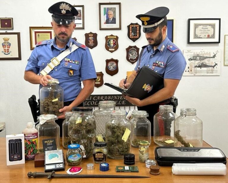 Nella cantina una serra la coltivazione di marijuana: un arresto in provincia di Palermo