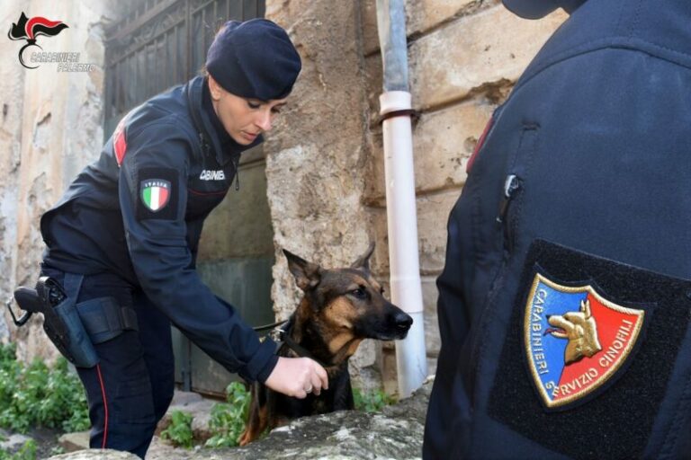 Vasta operazione dei carabinieri a Palermo:  25 chili di droga sequestrati, sei arresti