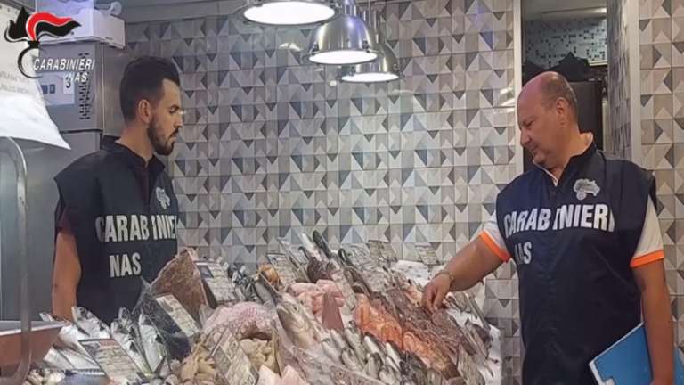 NAS di Palermo: sequestro di prodotti ittici nel mercato di “Ballarò”