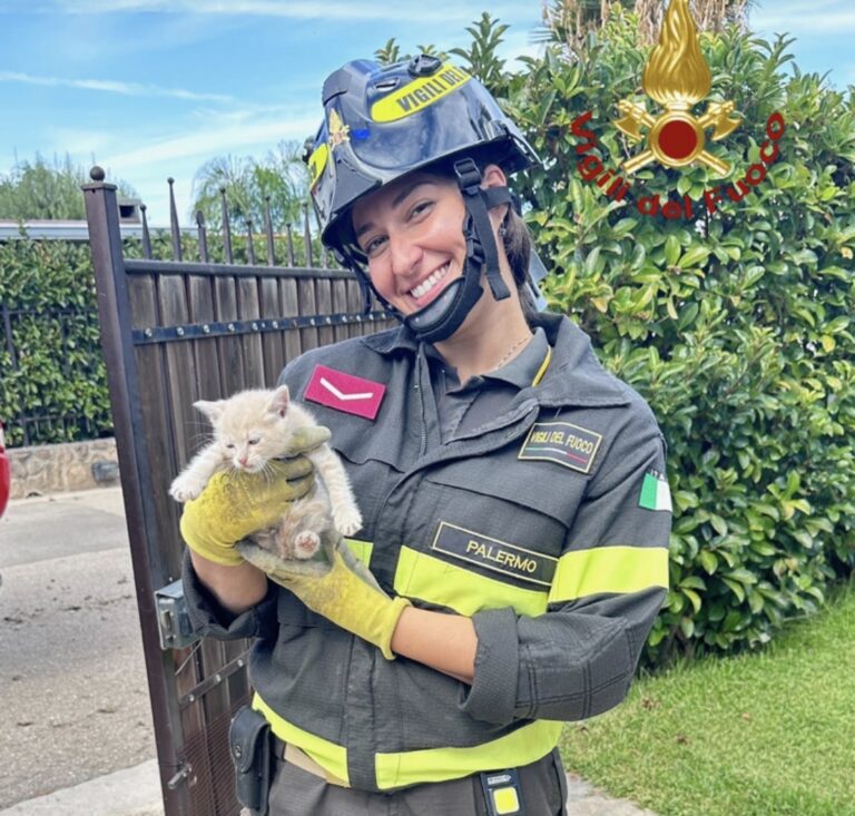 Campofelice di Roccella: i vigili del fuoco salvano un gattino VIDEO